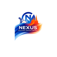 nexusholdingsgroup.co.uk